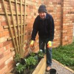 Frazer planting in front of trellis