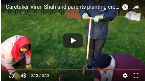 Caretaker Viren Shah and parents planting crocuses