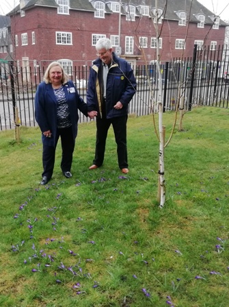 RIBI President Debbie Hodge with her husband Mike, admiring the purple crocus blooms marking Rotary's efforts to End Polio Now